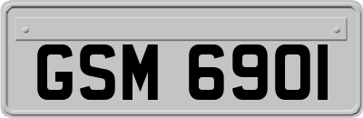 GSM6901