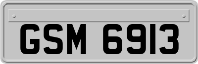 GSM6913