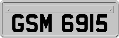 GSM6915