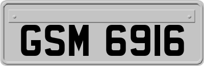 GSM6916