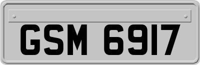 GSM6917