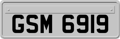 GSM6919