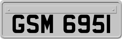 GSM6951