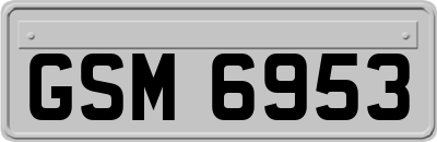 GSM6953