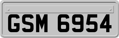 GSM6954