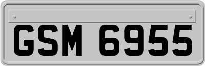 GSM6955