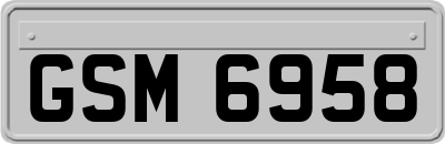 GSM6958