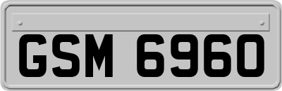 GSM6960