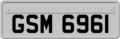 GSM6961