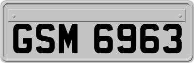 GSM6963
