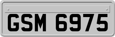 GSM6975