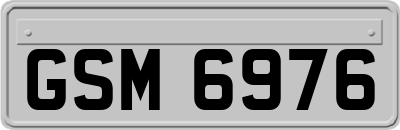 GSM6976