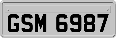 GSM6987