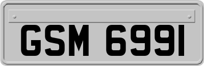 GSM6991