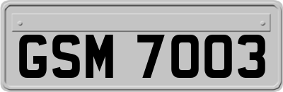 GSM7003