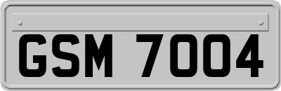 GSM7004
