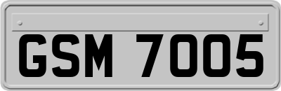 GSM7005