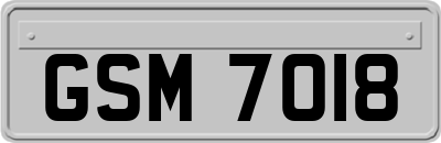 GSM7018