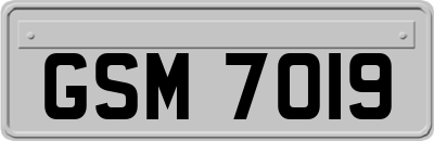 GSM7019