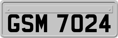 GSM7024