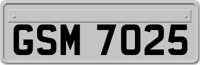GSM7025
