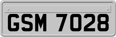 GSM7028