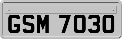 GSM7030