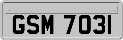 GSM7031