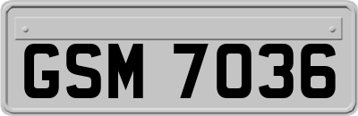 GSM7036