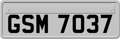 GSM7037