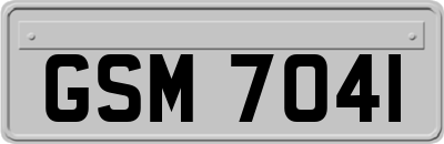 GSM7041