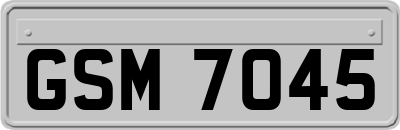 GSM7045
