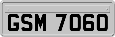 GSM7060