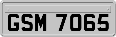 GSM7065