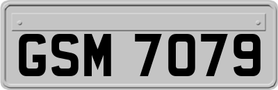 GSM7079