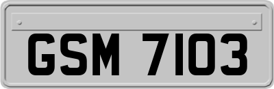 GSM7103