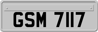 GSM7117