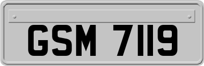 GSM7119