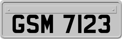 GSM7123