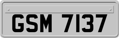 GSM7137