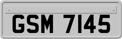 GSM7145