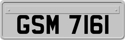 GSM7161