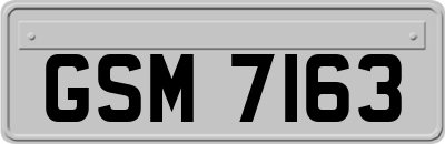 GSM7163