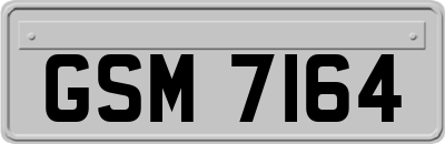 GSM7164