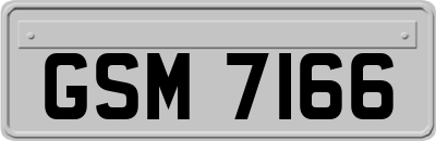 GSM7166