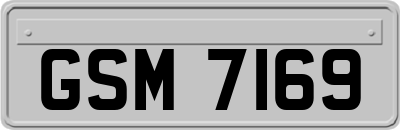 GSM7169