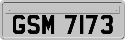 GSM7173