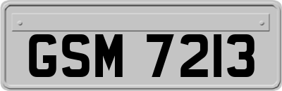 GSM7213