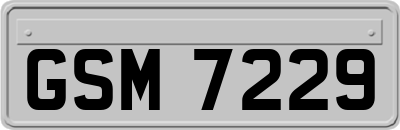 GSM7229