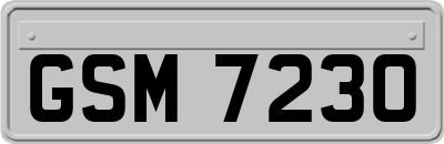 GSM7230